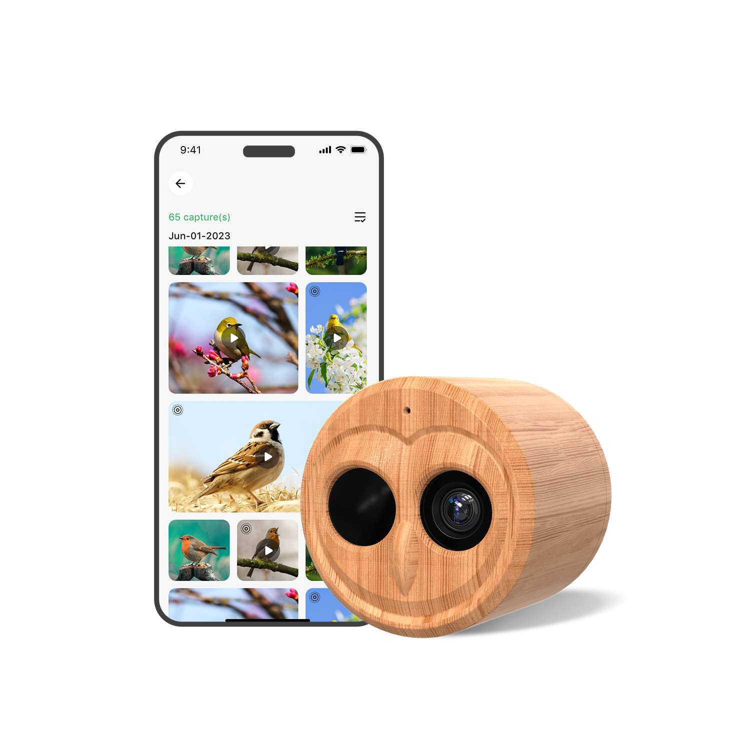 4K Smart Bird Feeder With Came - Power Outdoor 评论和价格