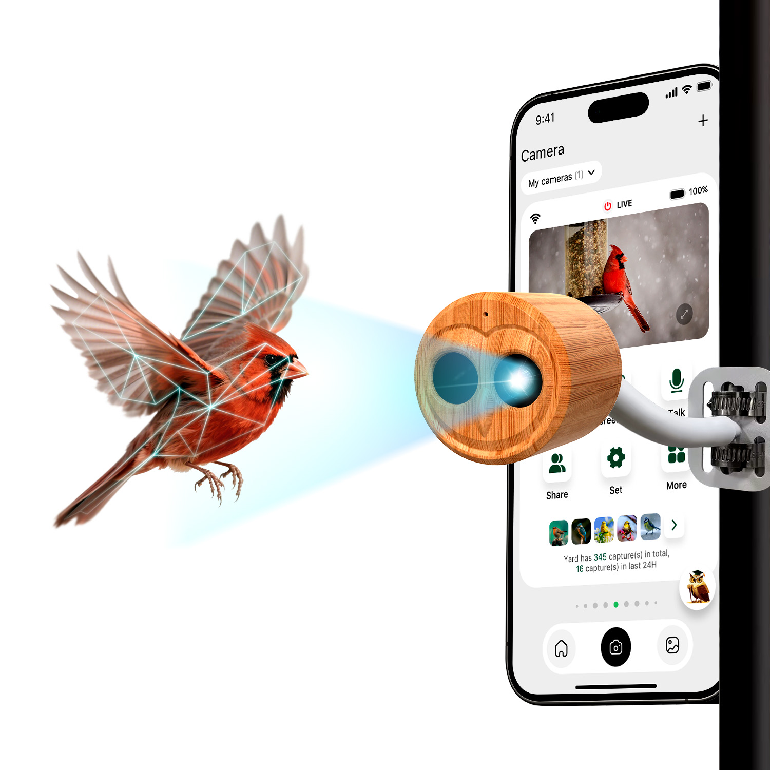 4K Smart Bird Feeder With Came - Power Outdoor 评论和价格