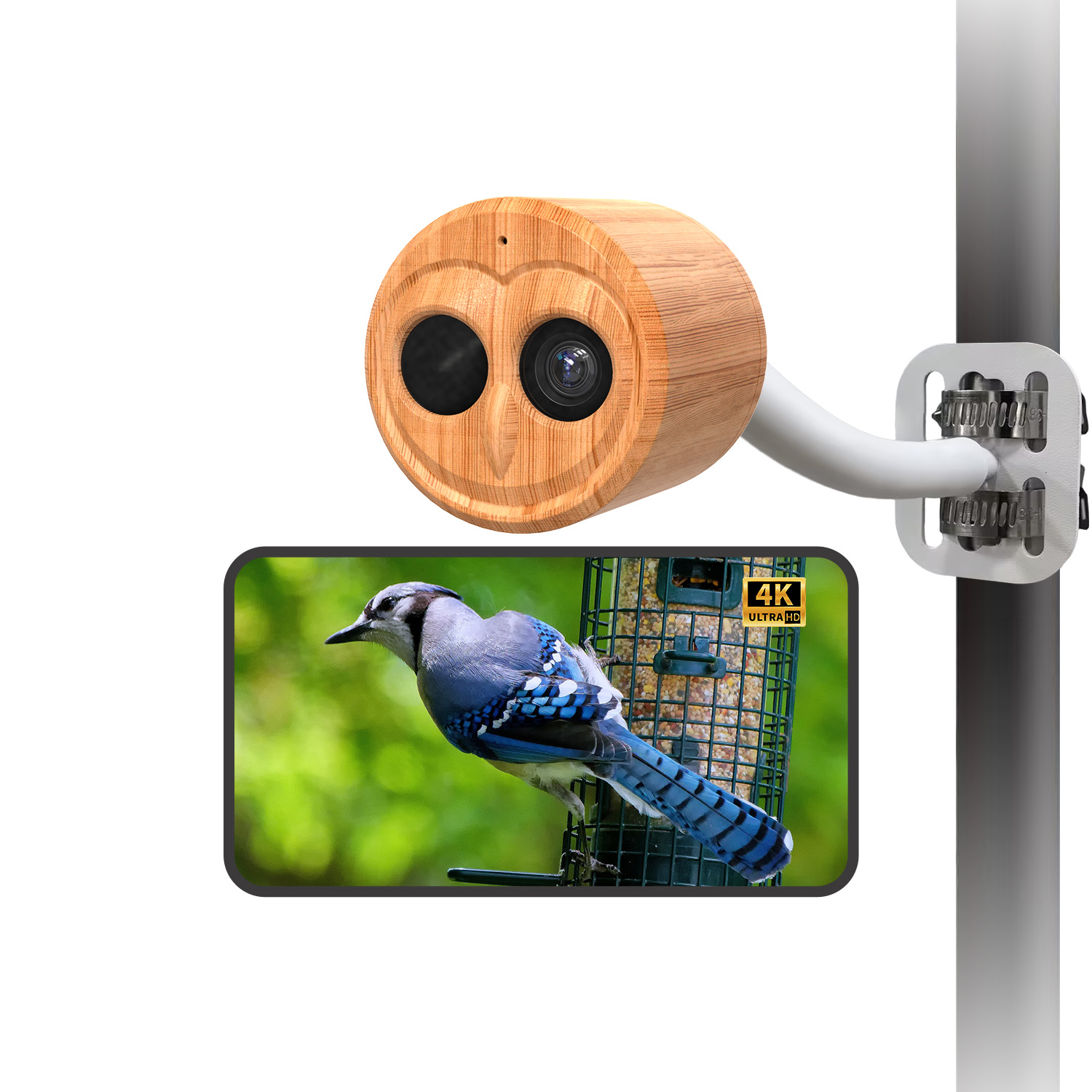 4K Smart Bird Feeder With Came - Power Outdoor 评论和价格