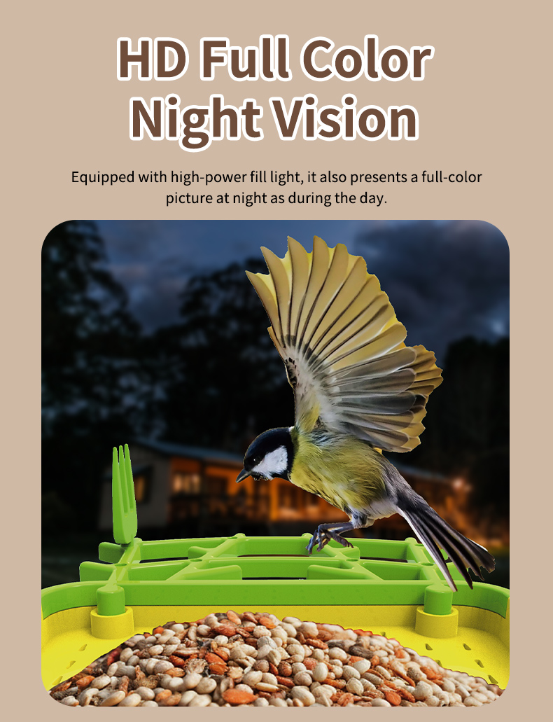 STLFSmart Bird Feeder HD Camer - Power Outdoor 评论和价格
