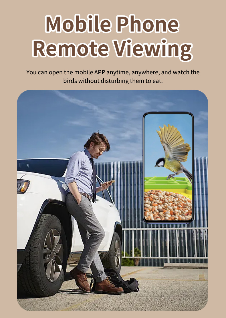 STLFSmart Bird Feeder HD Camer - Power Outdoor 评论和价格
