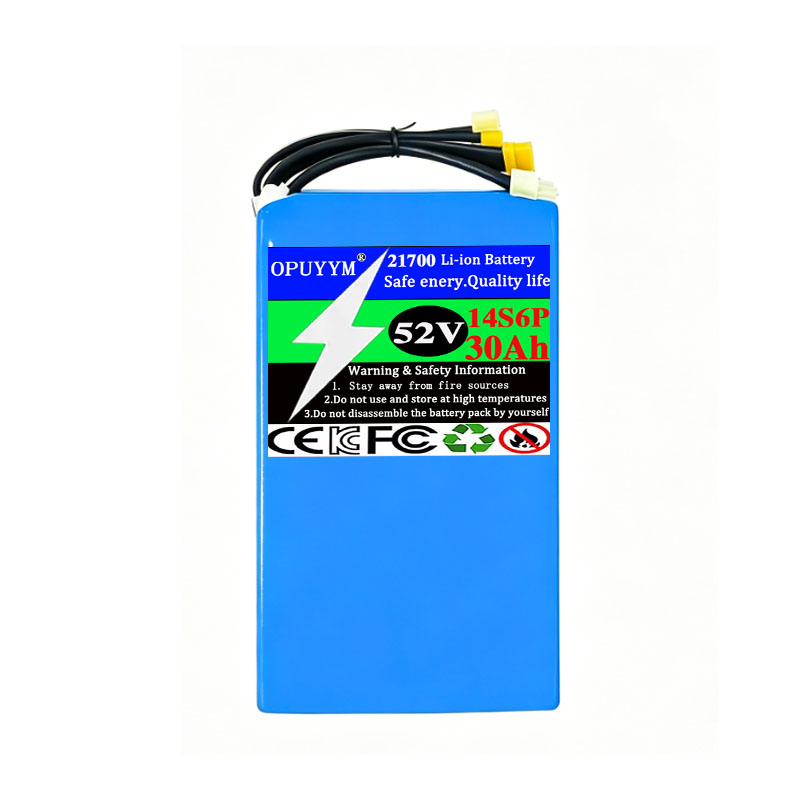 21700 14S6P 52V 30Ah Rechargea - Outdoor Power Pack 评论和价格