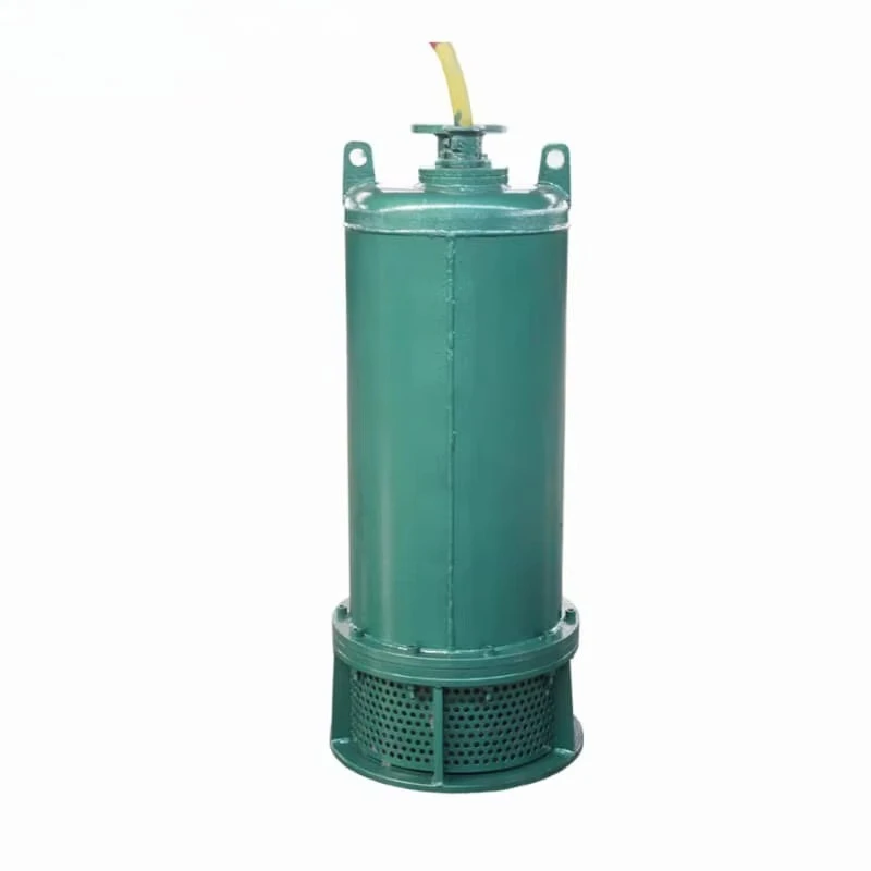 High Efficiency Cast Iron Cent - Water Pump Submersible 评论和价格