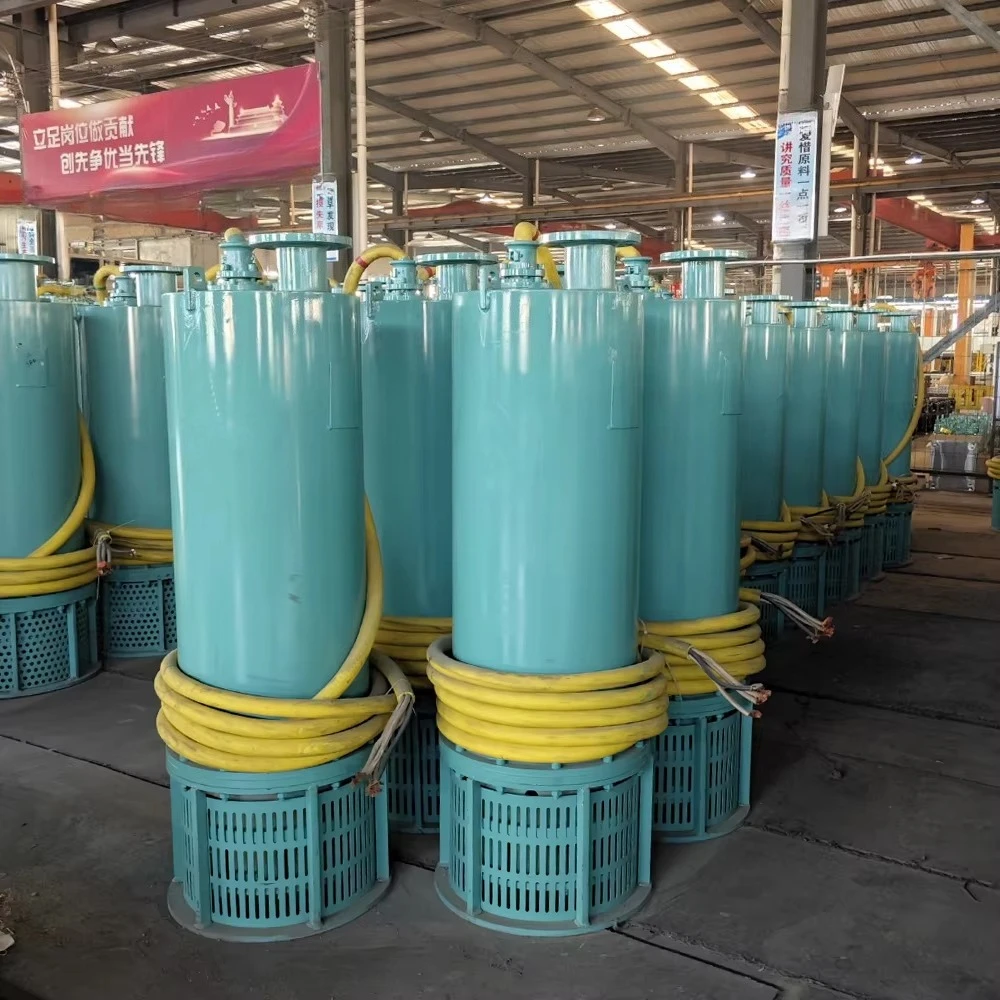 High Efficiency Cast Iron Cent - Water Pump Submersible 评论和价格