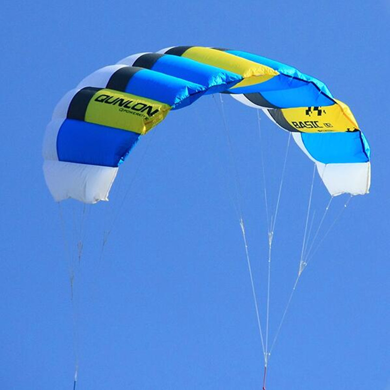 Dual Line Stunt Kites for Adul - Outdoor Power Line 评论和价格
